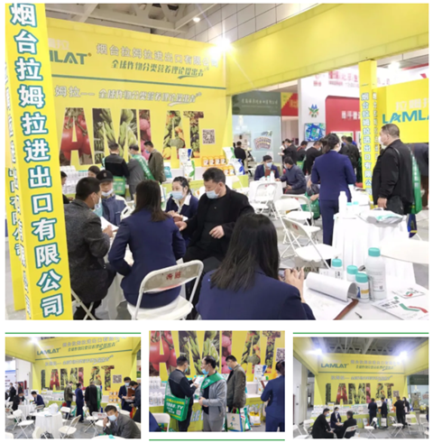 水溶肥，拉姆拉，翠姆