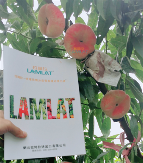 水溶肥，翠姆，拉姆拉