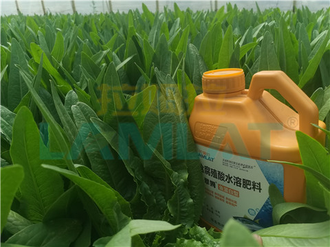 水溶肥，翠姆，拉姆拉
