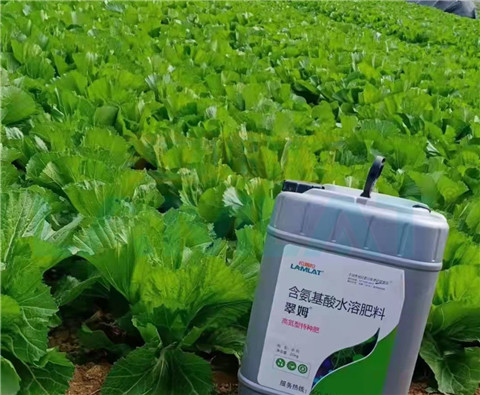 水溶肥，翠姆，拉姆拉