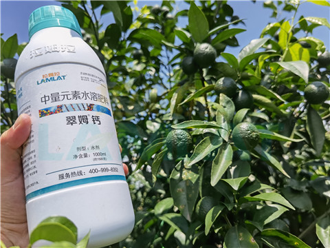 水溶肥，拉姆拉，翠姆