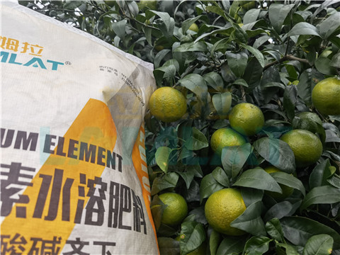 水溶肥，拉姆拉，翠姆