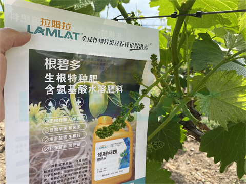 水溶肥，拉姆拉，翠姆