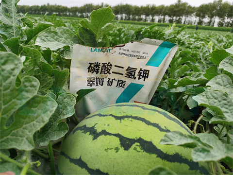 水溶肥，拉姆拉，翠姆