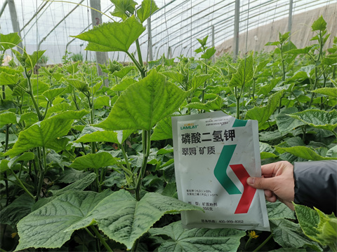 水溶肥，翠姆，拉姆拉