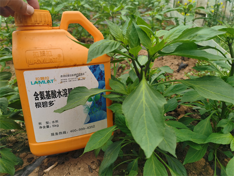 水溶肥，翠姆，拉姆拉
