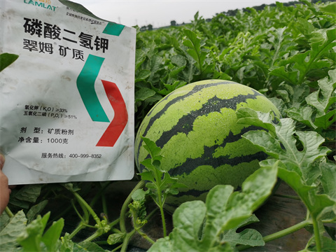 水溶肥，翠姆，拉姆拉